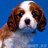 LeliaWestlake's profile image