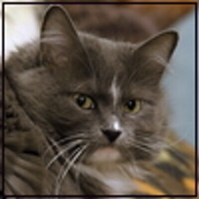 Lynette Flury (@LynetteFlury) / X