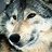 MollieFilosa's profile image