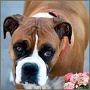 Alberta Farrell - @AlbertaFarrel13 - Twitter