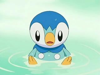 Soy un Piplup macho, Me llamo Pipi. Nvl 6 (Subo de nivel cada 5 seguidores) Hago PokeTorneos y juegos