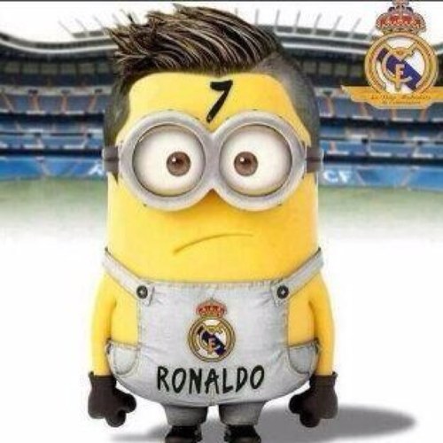 FootballMinions Profile Picture