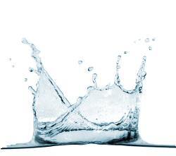 logic20202's profile picture. 