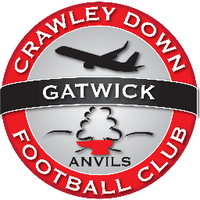 Crawley Down Gatwick (@officialcdgfc) 's Twitter Profile Photo Crawley Down Gatwick (@officialcdgfc) 's Twitter Profile Photo