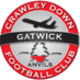 Crawley Down Gatwick (@OfficialCDGFC) Twitter profile photo