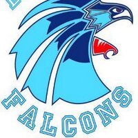 Daystar Falcons (@daystarfalcons) 's Twitter Profile