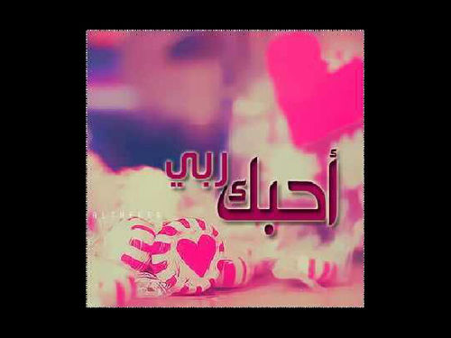 من هنا نبدأ وفي الجنّةأأمل أن نلتقي باذن الله،، تغريداتي أحرص ان ترضي ربي لتكون حجة لي لاعليّ حين ألقاه سبحاانه ،أن قصرت فمن نفسي وان وفقت فمن الله فله الحمد