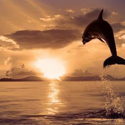 Tim Beta: 
 Sigo todos que me seguirem!!!!
 
 ─╔╗╦╔╗╔╗──╦╗╔═──╗╔╔╗╦╔╦╗╔╗─ ─╚╗║║╦║║──║║╠═──║║║║║─║─╠╣─ ─╚╝╩╚╝╚╝──╩╝╚═──╚╝╚╝╚═╚─╝╩─
