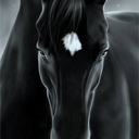 الخيل (@004Eye) Twitter