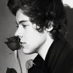 Boy Directioner