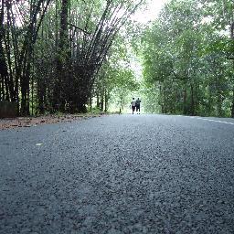 mayil_ms Profile Picture