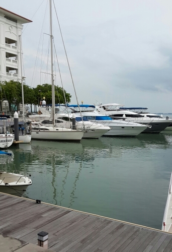 sflow107's profile picture. 