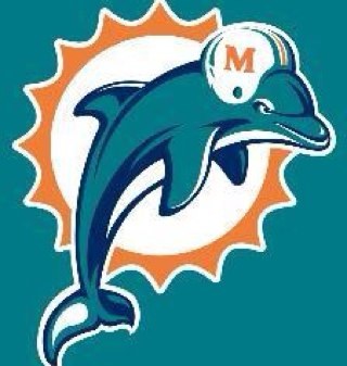 I love miami dolphins