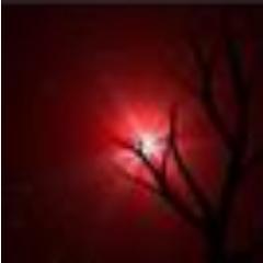 cakradara20 Profile Picture