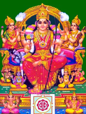 I am an Astrologer, Numerologist, Medical Astrologer  for the past 30 years.My organisation name is SIVASAKTHI JOTHIDALAYAM.