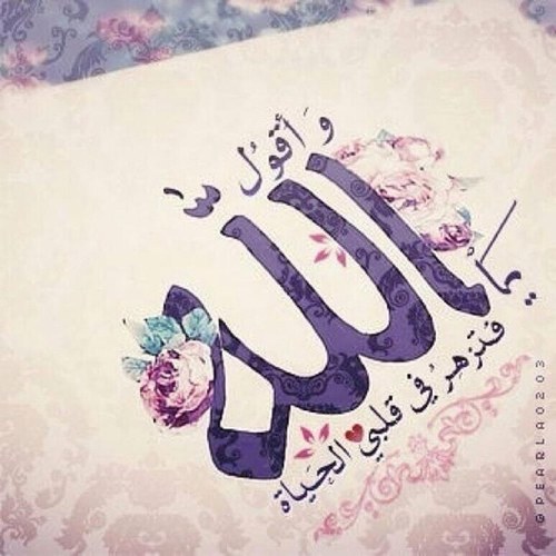 املك في الدنيا خمس زهرات وزوج رائع اللهم احفظهم /عفواً لا للخاص