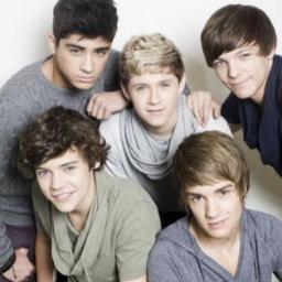 Directioner - One Direction -