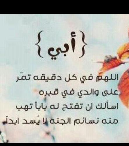 اللہم برد تربة قبر كل عزيز رحل عنا اللہم نور مرقدهم ۈ عطر مشهدهم وطيب مضجعہم ۈ آنس وحشتہم واعتق رقابنا و رقابہم من النار ♡
