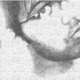 debottamr's profile picture. 