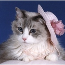 Kay Pollock - @Pollock1Kay - Twitter