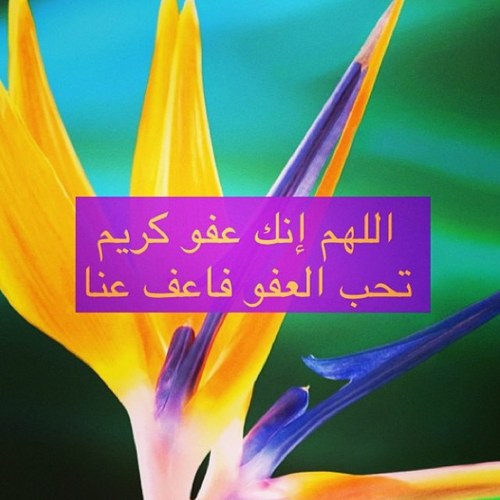 آللھُم آجرنِي منْ مَوت آلغفلہ'ھ ولٱ تآخذنِي منْ آلدنيآ إلا وآنتَ راضٍ عنّي