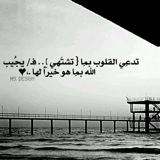 AbduillahQ10's profile picture. 