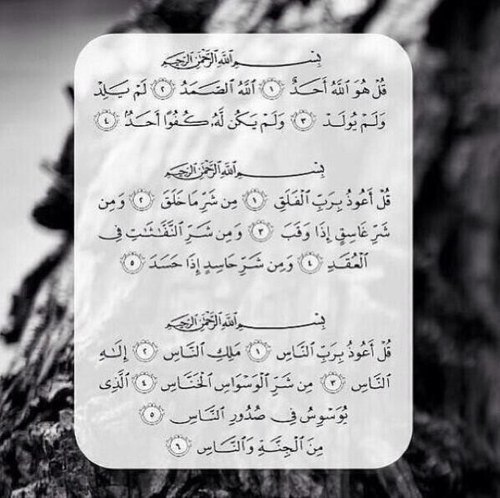 اللهم اني اودعت هذا الحساب ل#خلفان _يافورالمنصوري و #يافور_المنصوري و #سيف_علي_المنصوري و #راشد_المنصوري لجميع موتآنآ وموتآ المسلمين . . #انشره واكسب الأجر معنا