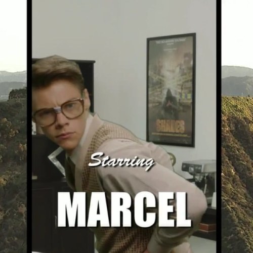 OneFandom1D's profile picture. I think it went oh oh oh, i think it went yeah yeah yeah!