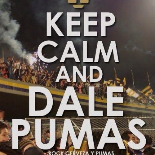 freddy_rod's profile picture. 