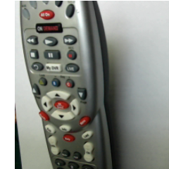 cowtail4's profile picture. im a true buhl for life doe