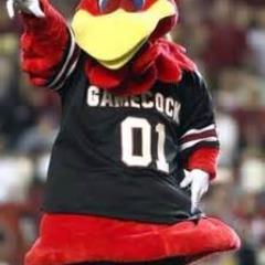 colsod01's profile picture. Retired, weight lifter, fantasy sports and University South Carolina Football fan