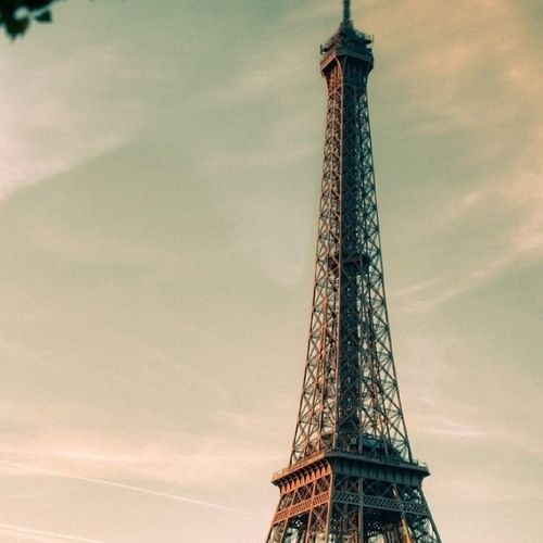 victoriakeroppi's profile picture. 