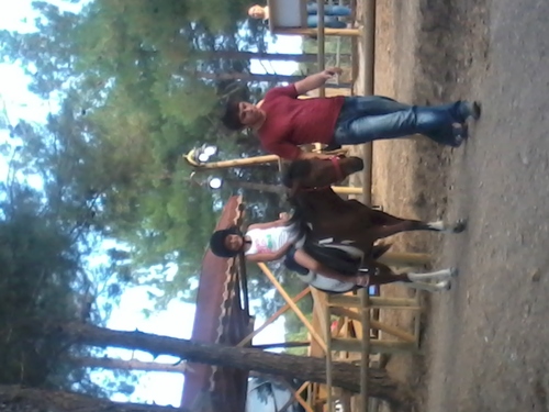 celal Profile