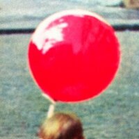 Scallumtwig (@scallumtwig) 's Twitter Profile