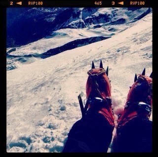 mountain goat and water rat