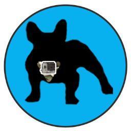 Ever wanted to see the action from your dog's Point-of-View? The MUTT MOUNT Just straps to your dog like a standard harness and a personal cameradogs born