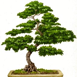 Plantontainers's profile picture. All your planter needs in one location, gives us a click.