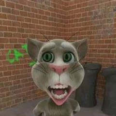 RafaSpania123's profile picture. 