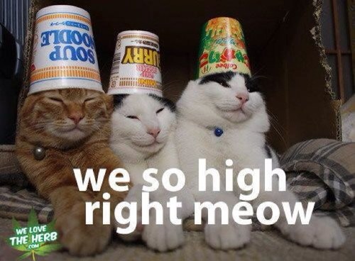 kmp143dks's profile picture. 