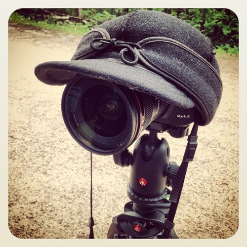 Live performance photographer, drawer, and a Stormy Kromer.