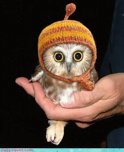 noemigora's profile picture. 