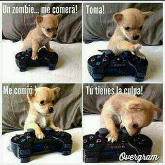 Jugador semi-profesional de COD en la plataforma de PS3// AR// Actualmente jugando en la squad de @CodFires// Keep Calm and Dale Caloh
