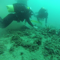 Latest articles and updates in the world of Maritime Archaeology
