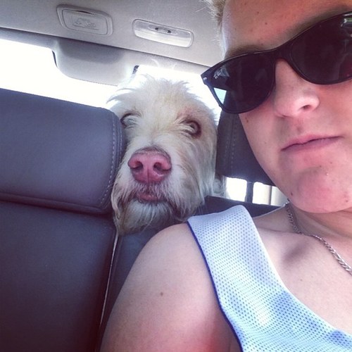 carsontoth's profile picture. 