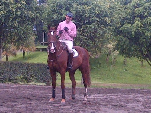 Equitacion