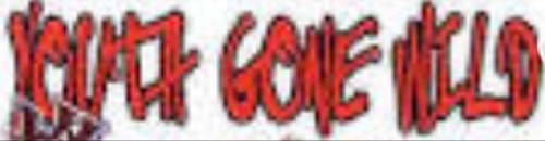 Youth Gone Wild is an 80's cover band formed out of Hattiesburg Ms, (2013)