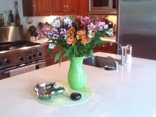 pjswaim's profile picture. seventy something housewife