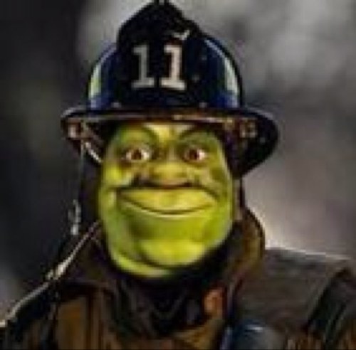 fdsta13's profile picture. 