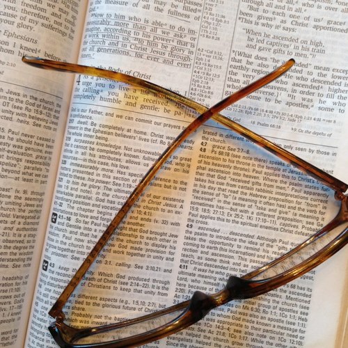 debk1403's profile picture. 