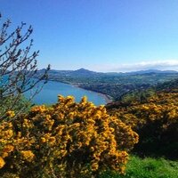 joanne mc grath (@joannemcgrath1) 's Twitter Profile